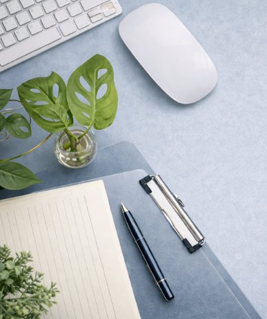 Escritorio de trabajo con ratón, planta y libreta sobre fondo azul grisáceo